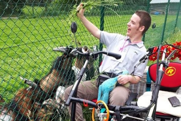 Rent duo bike Van Raam Rent duo bike Van Raam