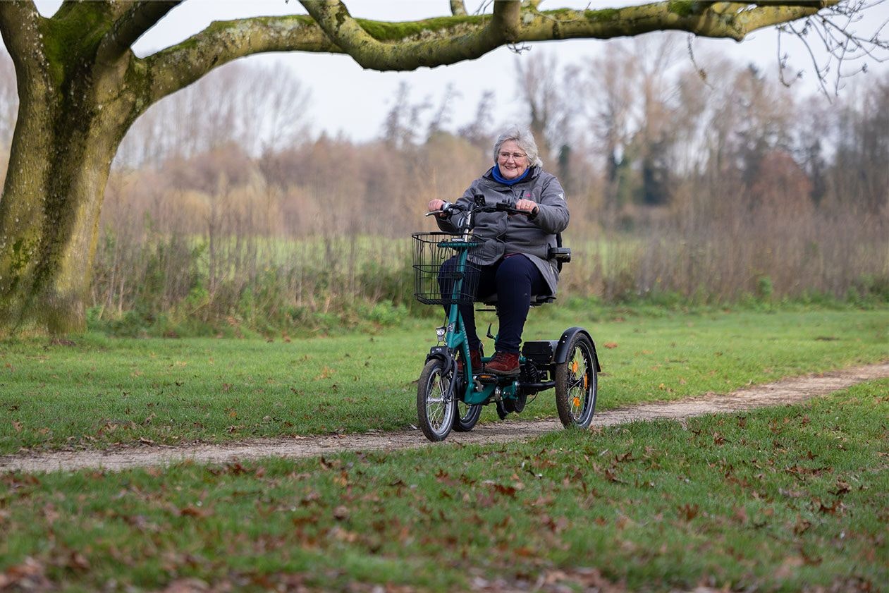 Van Raam Easy Go Scooter tricycle